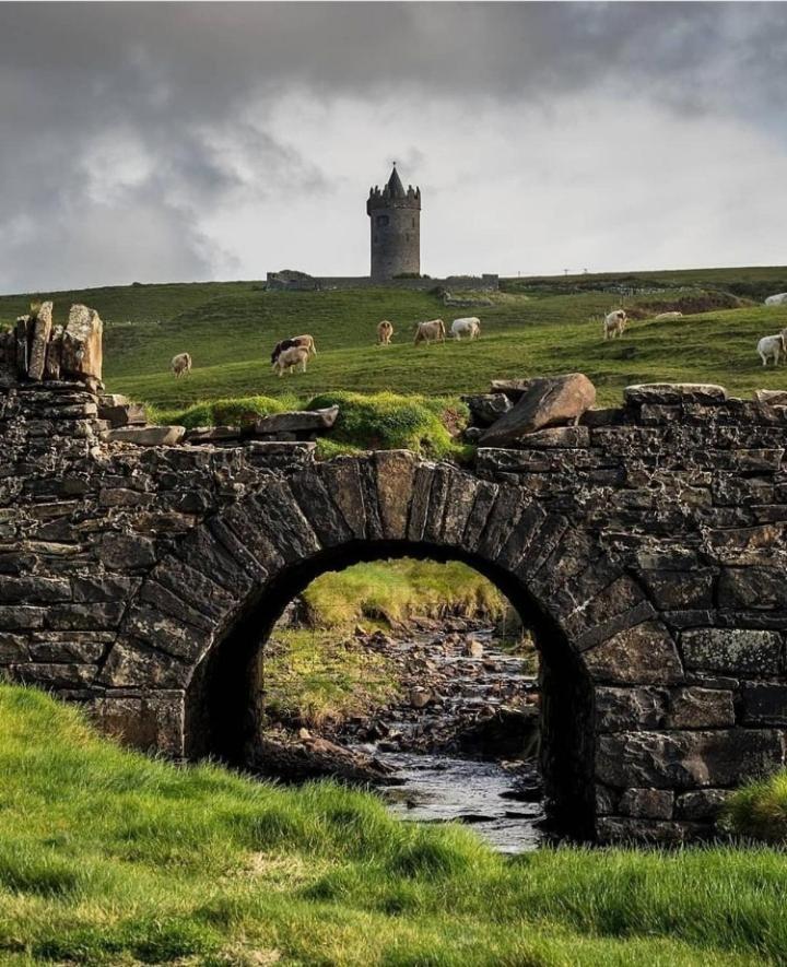 Lanelodge دولين المظهر الخارجي الصورة